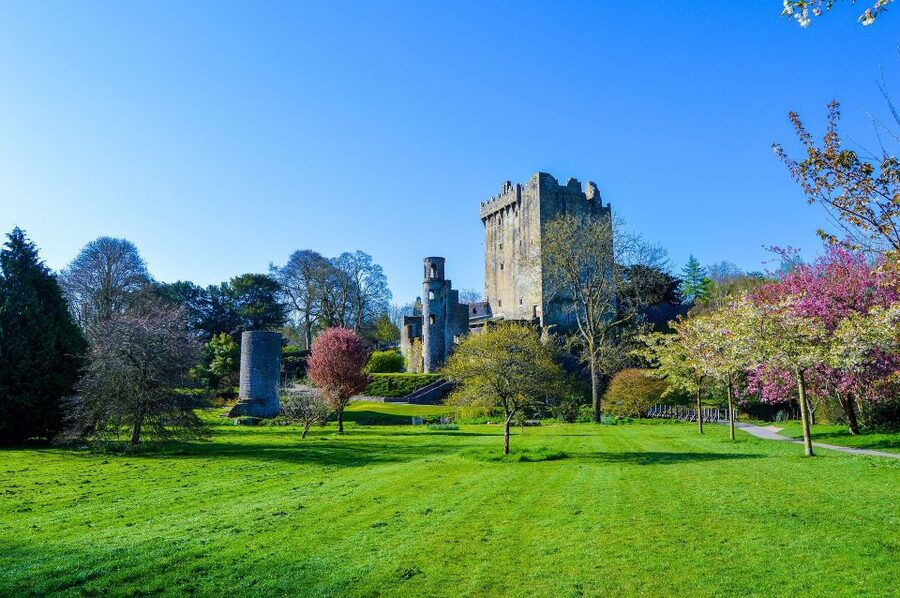 From Dublin: 6-Day All of Ireland Rail Tour - Day 2: The Ring of Kerry and Killarney’s big views