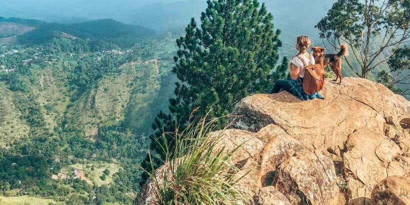 From Ella- All inclusive Day Trip of 8 Iconic Sights & Train - Little Adam’s Peak is the easier mountain finish