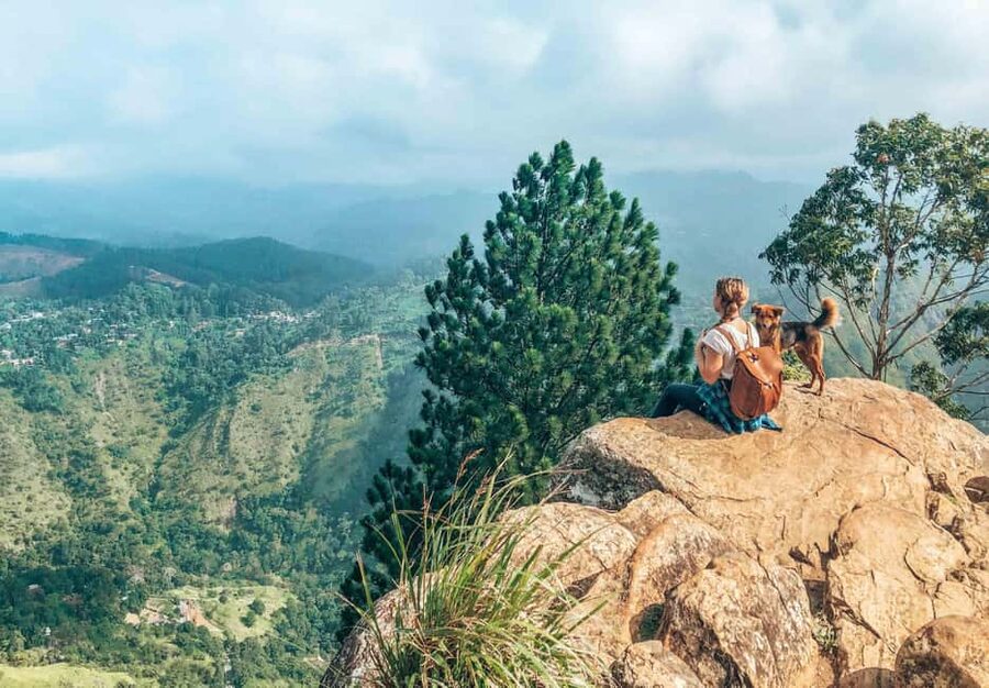 From Ella - Day Trip of 8 Iconic Sights & Scenic Train Ride - Ravana Falls and the first taste of Ella’s folklore