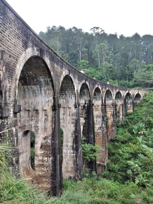 From Ella: Ella Unfogettable Day tour & Train Ride Tour - Key points at a glance