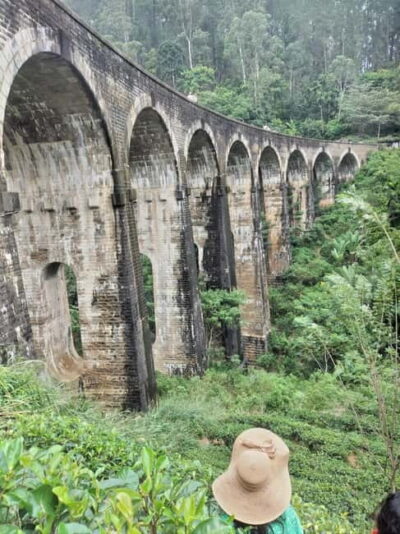 Ella Unfogettable Day tour & Train Ride Tour