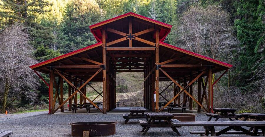 From Fort Bragg: Redwoods Train Ride and Nightclub Ticket - Riding the Skunk Train into the Redwoods