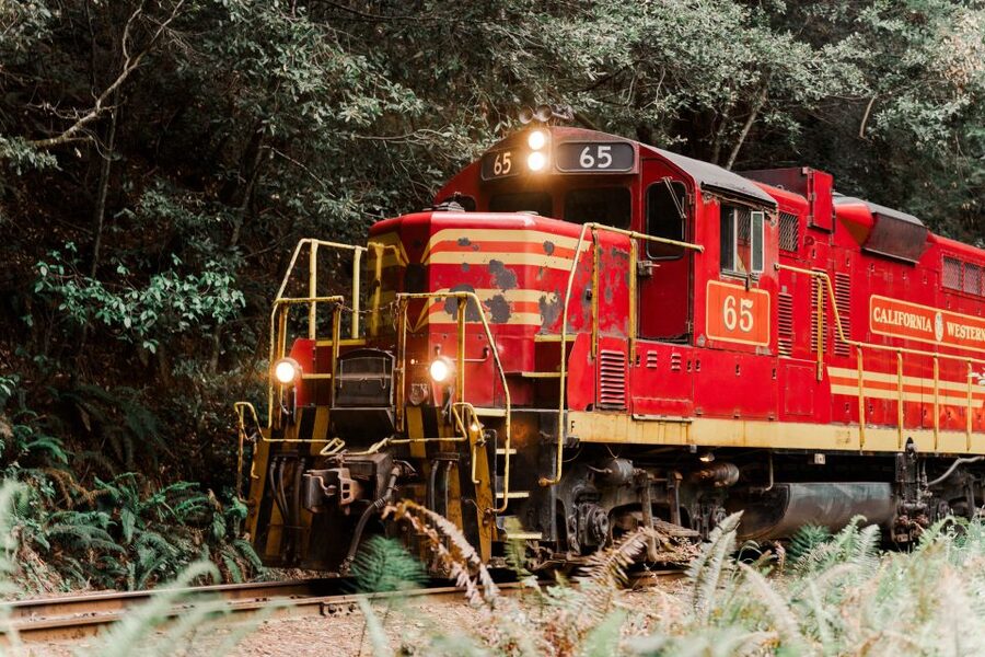 From Fort Bragg: Redwoods Train Ride and Nightclub Ticket - Arriving at Glen Blair Bar