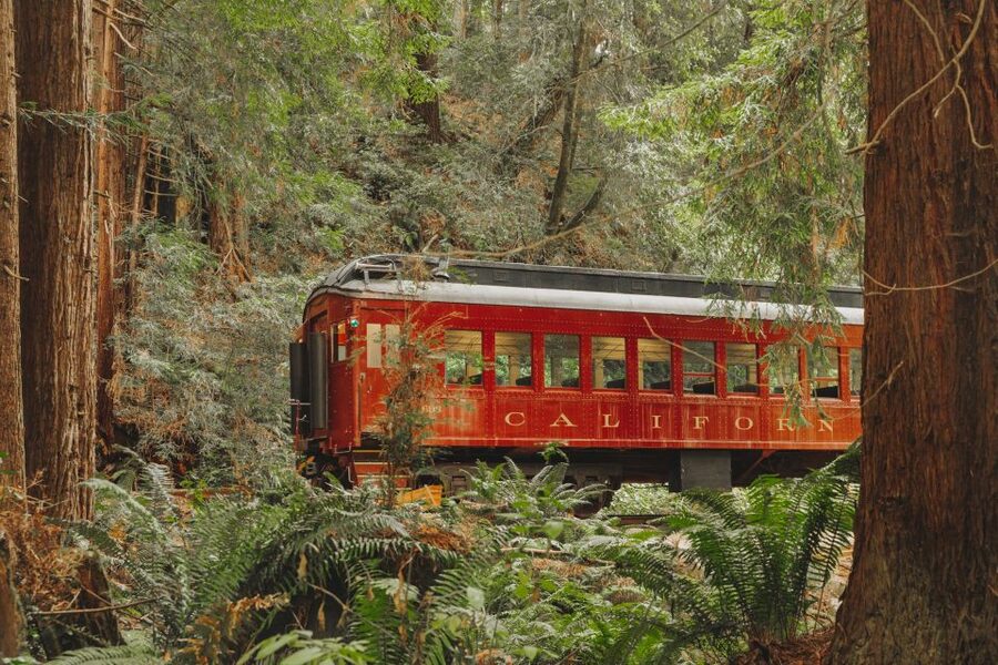 From Fort Bragg: Redwoods Train Ride and Nightclub Ticket - Staying Warm on a Coastal California Night