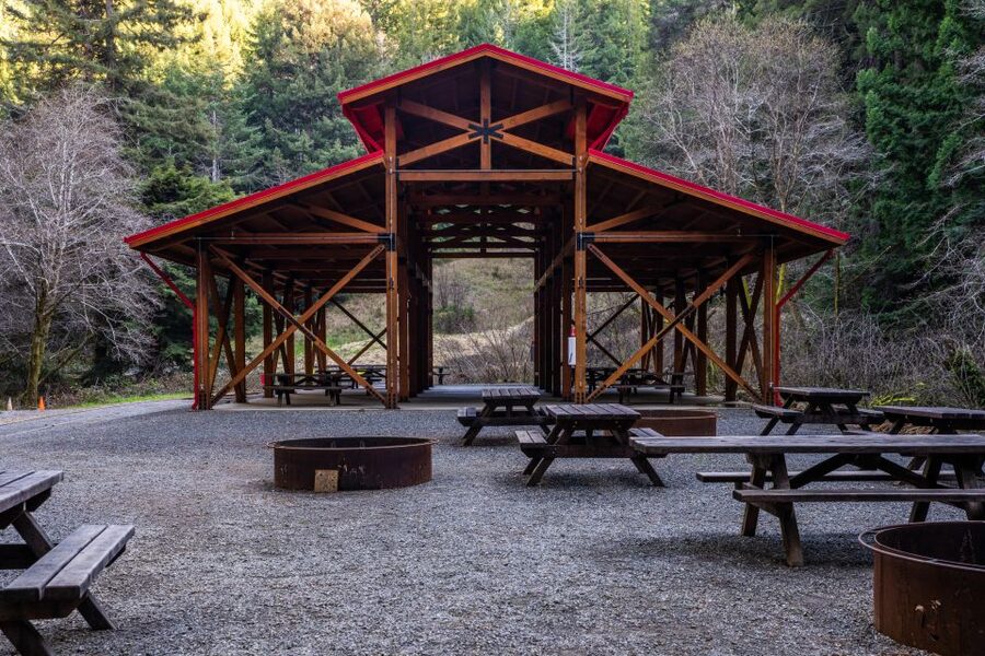 From Fort Bragg: Redwoods Train Ride and Nightclub Ticket - Accessibility and Booking Flexibility