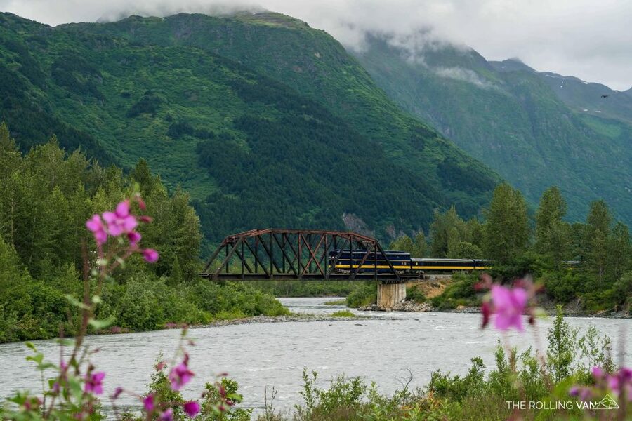From Girdwood or Anchorage: Spencer Glacier Float & Railroad - Is $302 a fair price?