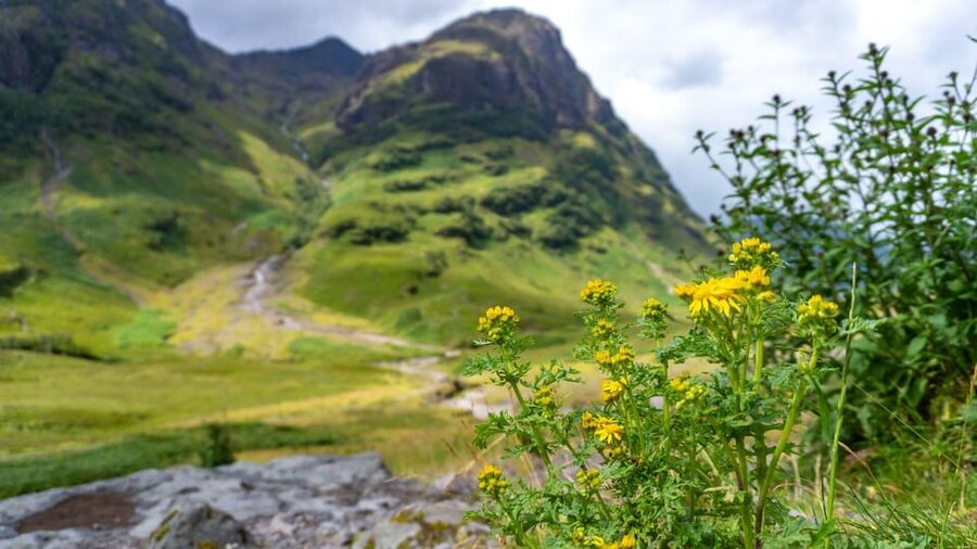 From Glasgow: Jacobite Steam Train & The Highlands Tour - Why the Jacobite train makes this day special
