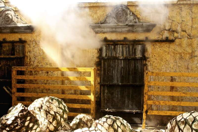 From Guadalajara: La Rojeña Distillery & Jose Cuervo Train - Returning on the José Cuervo Express