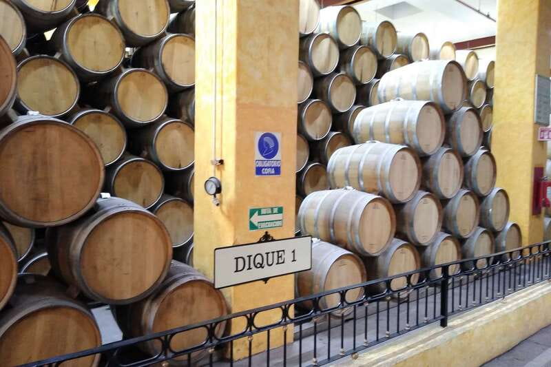 From Guadalajara: La Rojeña Distillery & Jose Cuervo Train - How the schedule affects your day