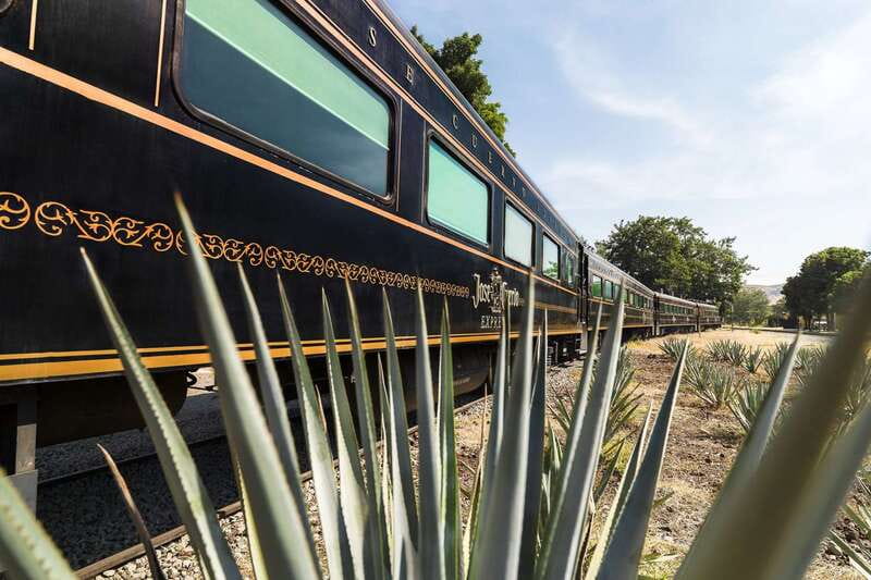 From Guadalajara: La Rojeña Distillery & Jose Cuervo Train - The jimador and the work behind the bottle
