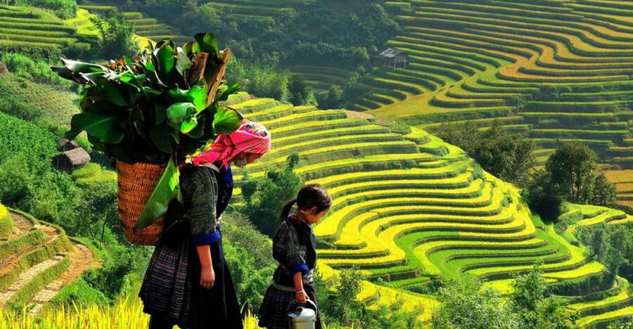 From Hanoi: 2-Day 2-Night Sapa Tour by Overnight Train - Lao Cai to Sapa, then straight into Sin Chai