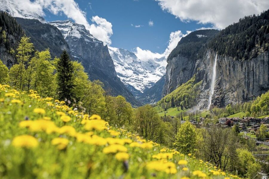 From Interlaken: Guided Tour to Jungfraujoch - Top of Europe - Is $342 a fair price?