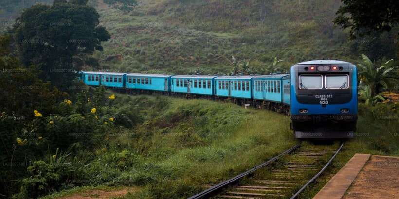 From Kandy: Nuwara Eliya by Train - Key points to know before booking