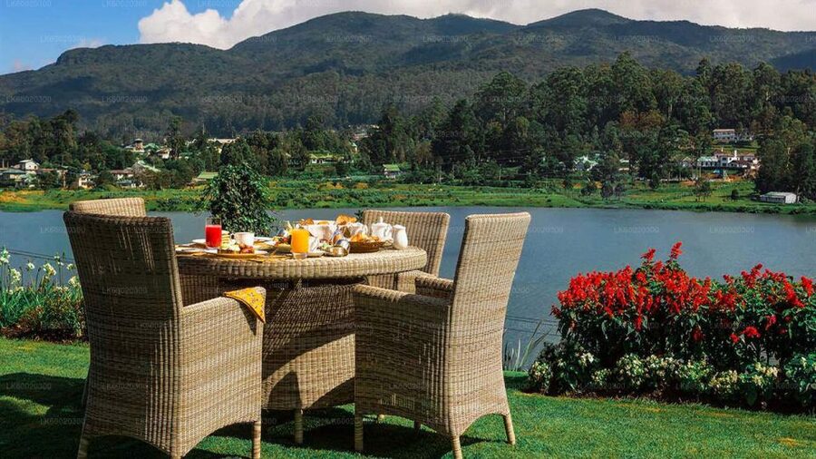 From Kandy: Nuwara Eliya by Train - Lunch at about 1:30 PM