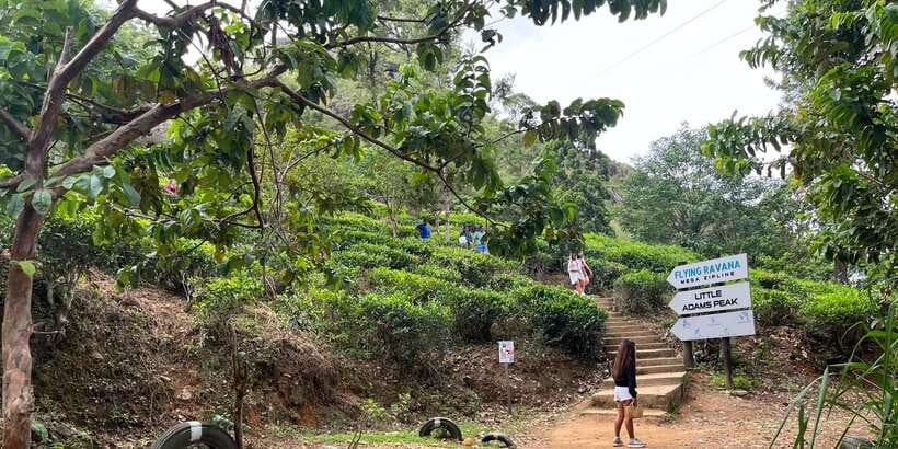 From kandy Train, and Pool Club Day Tour with Pickup - Ramboda Falls and the road into tea country