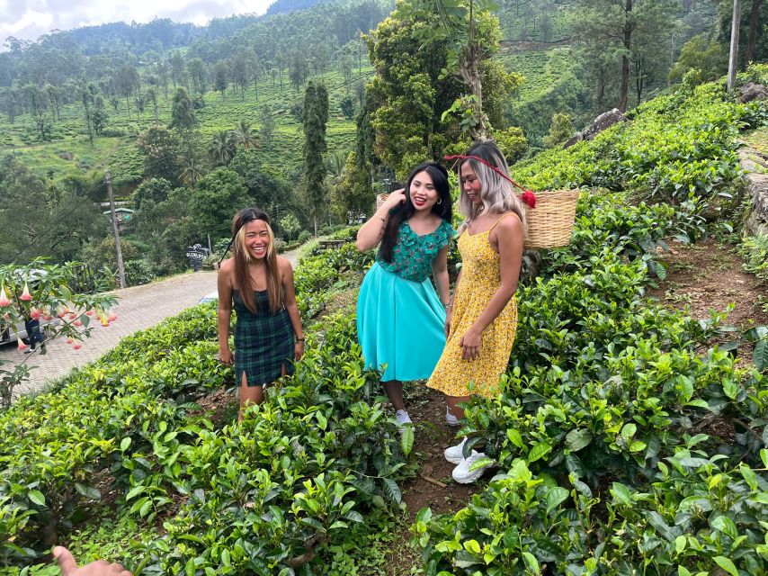 From kandy Train, and Pool Club Day Tour with Pickup - Nuwara Eliya and a cup of Ceylon tea