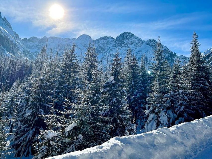 From Krakow: Zakopane Day Trip with Funicular & Food Tasting - Who should book this day trip