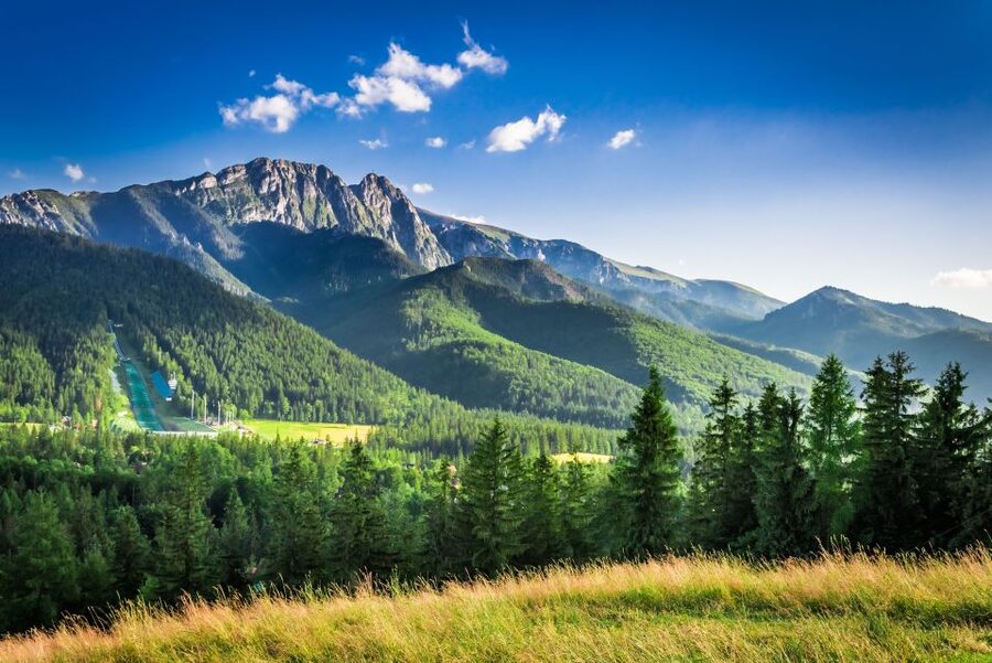 From Krakow: Zakopane Tour with Gubalowka Funicular & Museum - Highlander cheese and the taste of Podhale