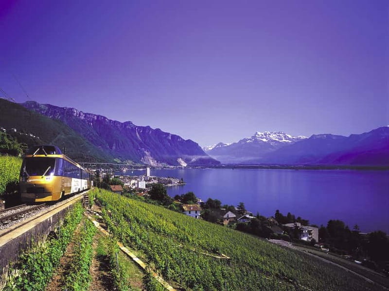 From Lausanne: Gruyères Tour with Train, Chocolate & Cheese - Finding the Vennes meeting point