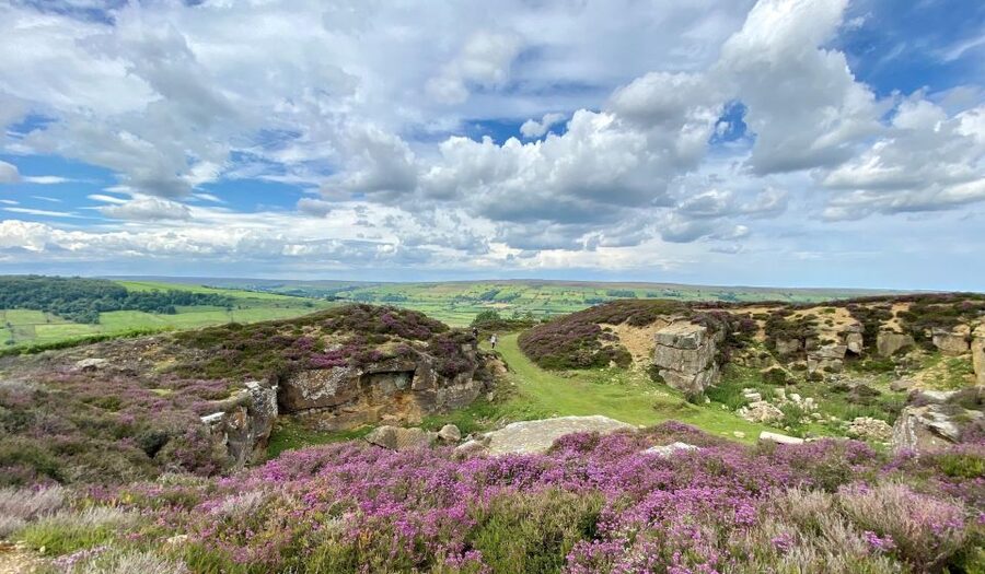 From London: The North York Moors with Steam Train to Whitby - The North York Moors Railway is the day’s highlight