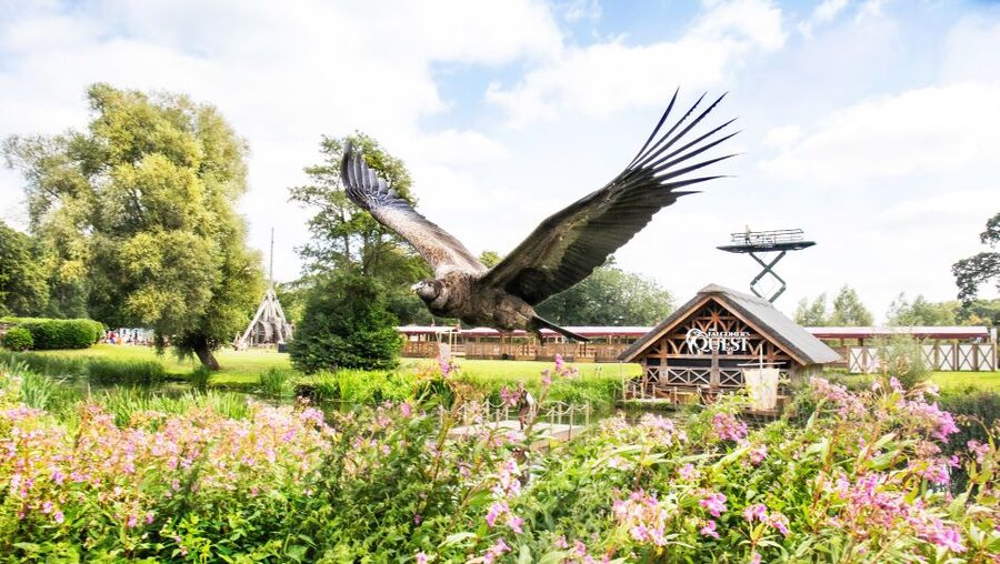From London: Warwick Castle Day Trip by Rail - Gardens, views, and time away from the stone