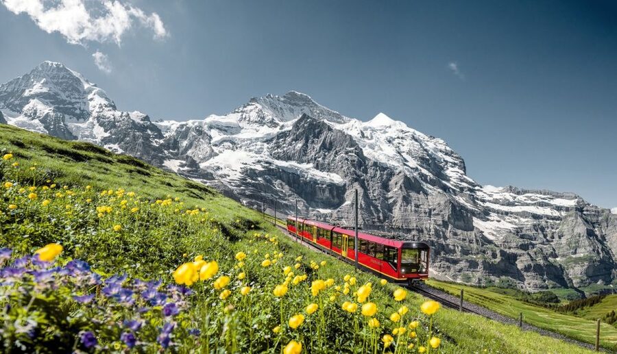 From Lucerne: Day Trip to Jungfraujoch – Top of Europe - Ice Palace and Alpine Sensation