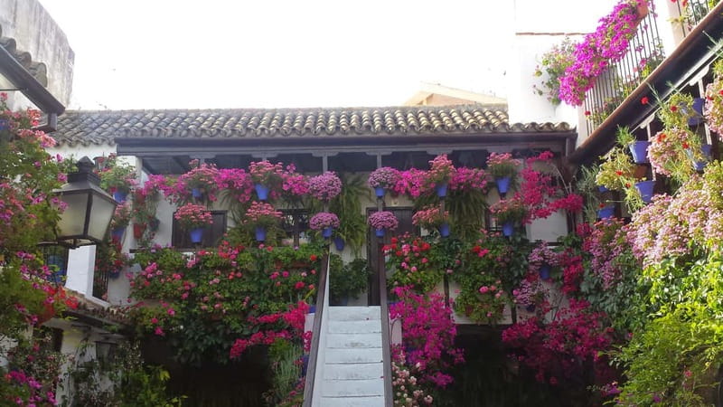 From Madrid: Cordoba and Mosque Day Trip by High-Speed Train - Returning to the station without an escort