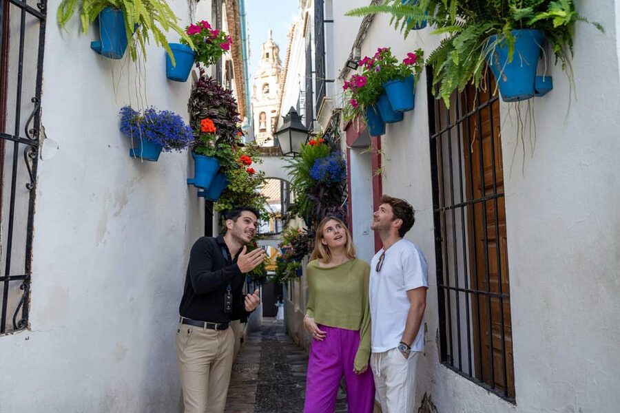 From Madrid: Córdoba Private Day Tour by High-Speed Train - Key points to know before booking