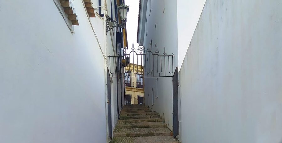 From Malaga: Ronda and Setenil Tour with Scenic Train - Who gets the most from this tour