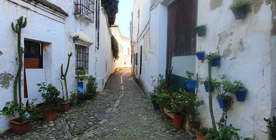 From Malaga: Ronda and Setenil Tour with Scenic Train - Lunch and free time in Ronda