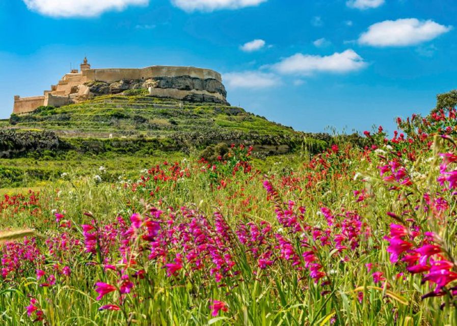 From Malta: Gozo Full-Day Tour with Guide, Temples, & Train - An eight-hour route from Malta to Gozo