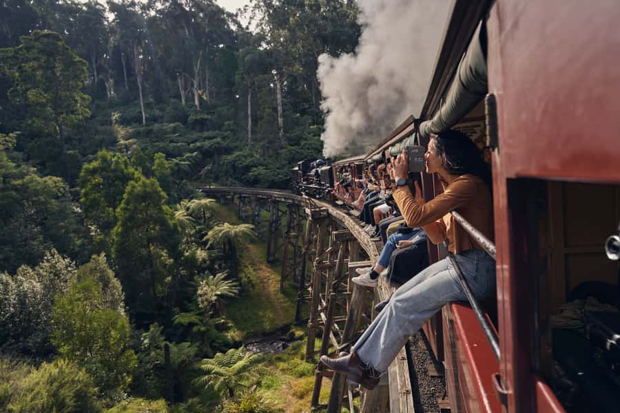 From Melbourne: Puffing Billy Steam Train & Wildlife Tour - Who should book this combined outing
