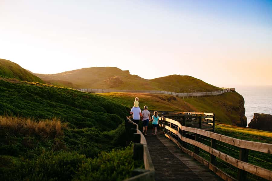 From Melbourne: Puffing Billy Train & Penguin Wildlife Tour - The long transfer to Phillip Island