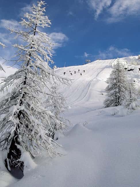 From Milan: Valmalenco 1-day Ski Pass with Train and Shuttle - Why the train-to-snow plan works