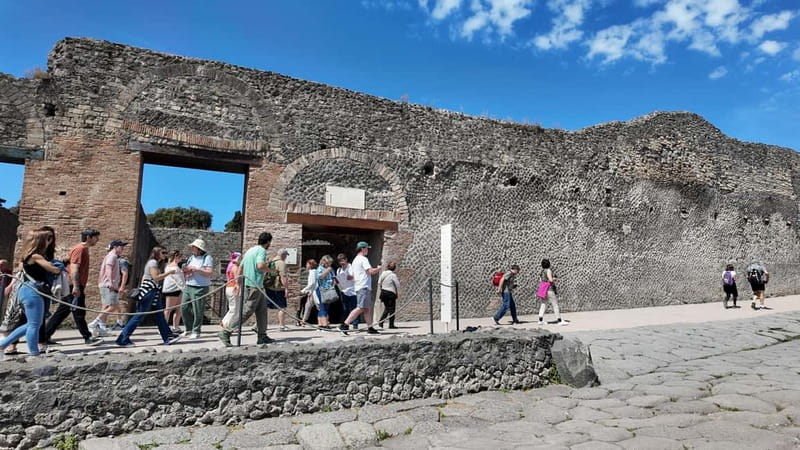 From Naples: Guided tour of Pompeii skip-the-line and round-trip train - What Happens After the Guided Visit