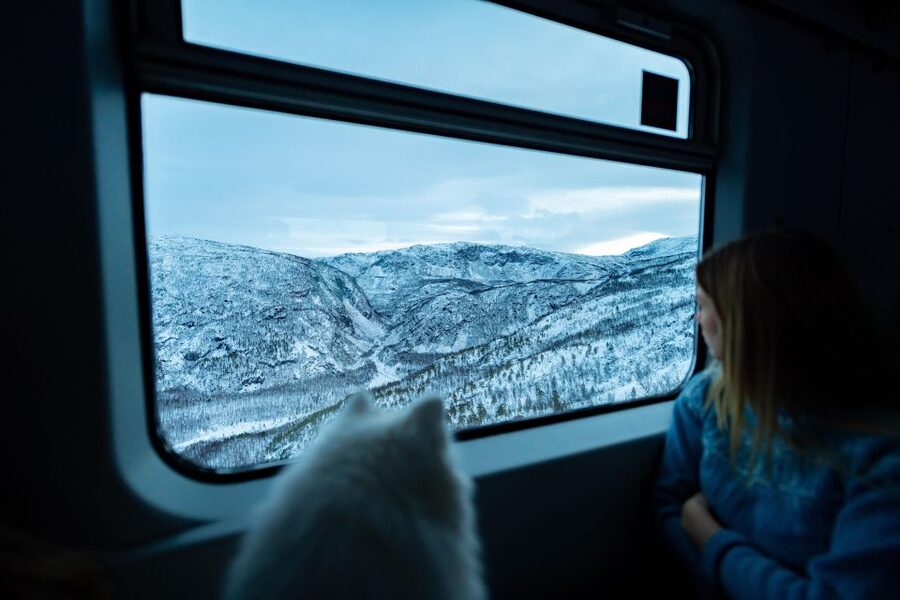 From Narvik: Roundtrip Arctic Train Ride on Ofoten Railway - The climb beside fjords and mountains