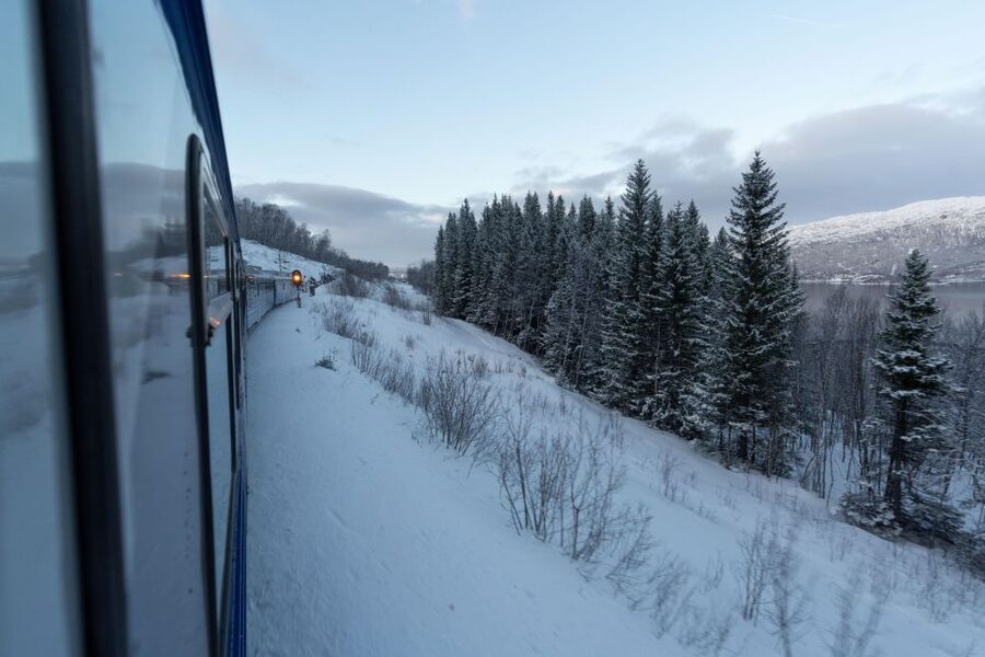 From Narvik: Roundtrip Arctic Train Ride on Ofoten Railway - Drinks, comfort, and onboard details