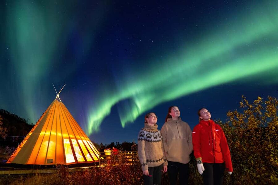 From Narvik: The Northern Lights Arctic Train Guided Tour - Railway stories, an old village, and a small museum