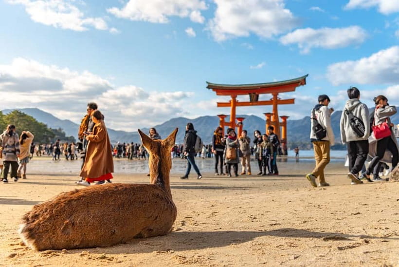 From Osaka: Hiroshima and Miyajima Day Trip by Bullet Train - Key points at a glance
