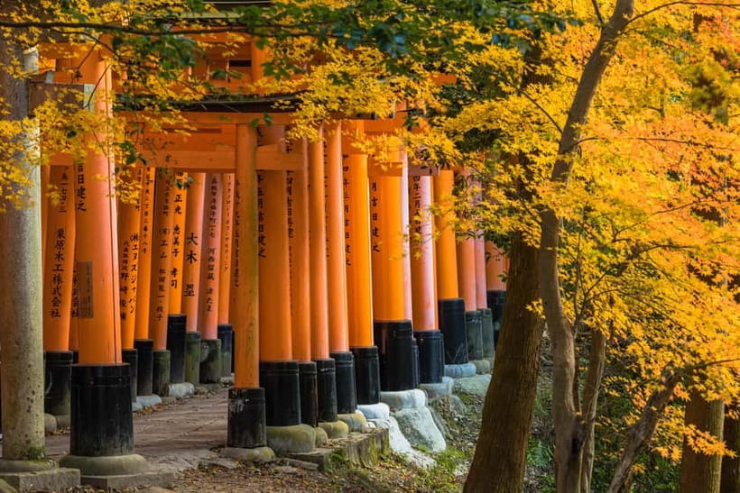 From Osaka: Sagano Train Ride and Kyoto Guided Day Tour - Four Kyoto icons from Osaka in one day