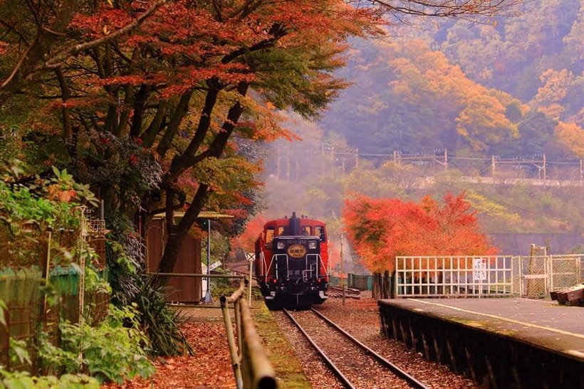 From Osaka: Sagano Train Ride and Kyoto Guided Day Tour - The Sagano Romantic Train from Kameoka