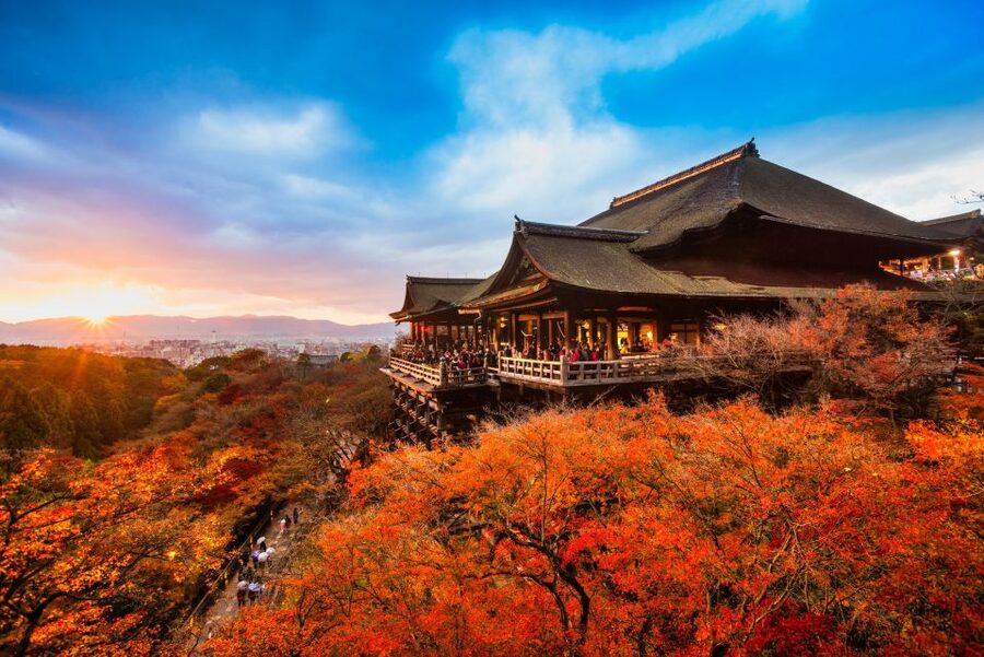 From Osaka: Sagano Train Ride and Kyoto Guided Day Tour - Kiyomizudera and Kyoto from the hillside