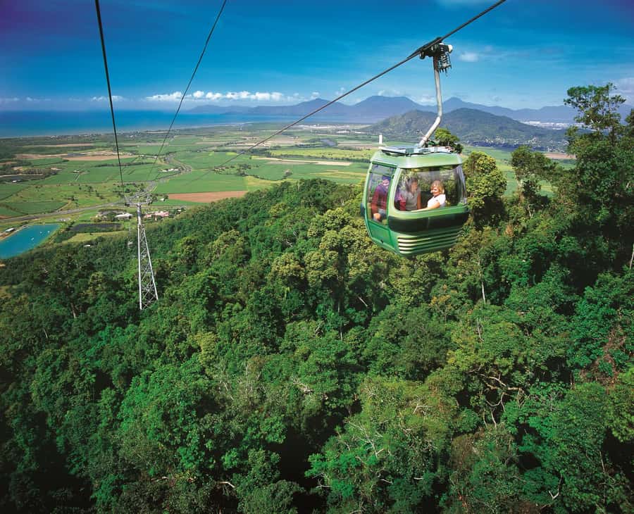 From Port Douglas: Hartley's Crocodile Park, Skyrail & Train - A full North Queensland day from Port Douglas