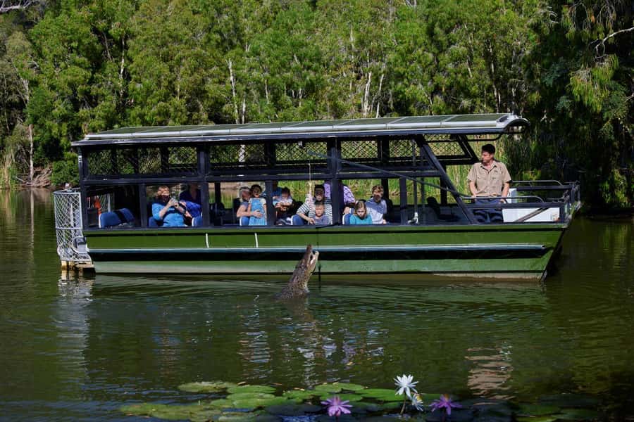 From Port Douglas: Hartley's Crocodile Park, Skyrail & Train - Two hours to eat and browse in Kuranda