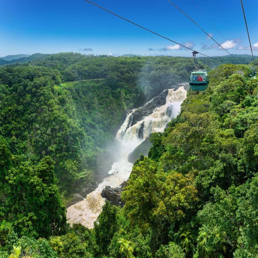 From Port Douglas: Hartley's Crocodile Park, Skyrail & Train - Transport, timing, and the practical details