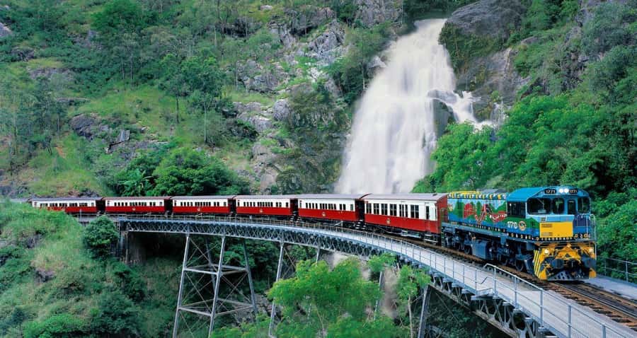 From Port Douglas: Hartley's Crocodile Park, Skyrail & Train - Who should book this experience?