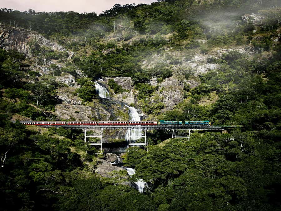 From Port Douglas: Kuranda Tour with Skyrail & Scenic Train - Key points to know before booking
