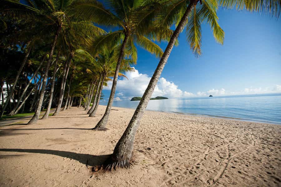 From Port Douglas: Kuranda Tour with Skyrail & Scenic Train - Should you book the Skyrail and train tour?