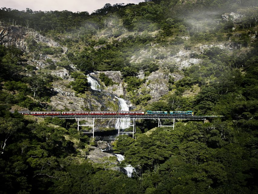 From Port Douglas: Kuranda Tour with Skyrail & Scenic Train - What to bring and how to manage the day
