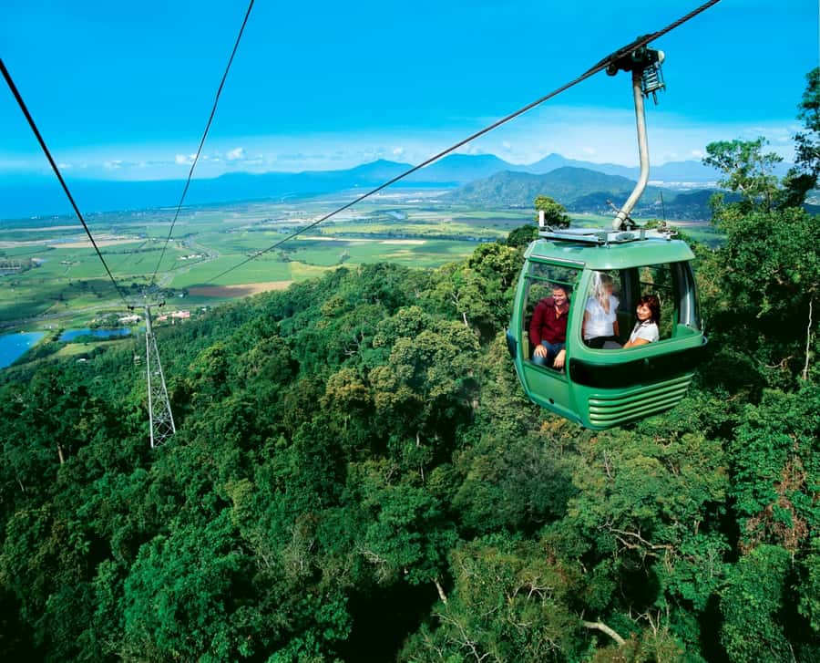 From Port Douglas: Kuranda via Scenic Rail or Skyrail Option - At a glance